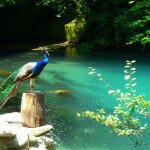 голубое озеро Абхазия